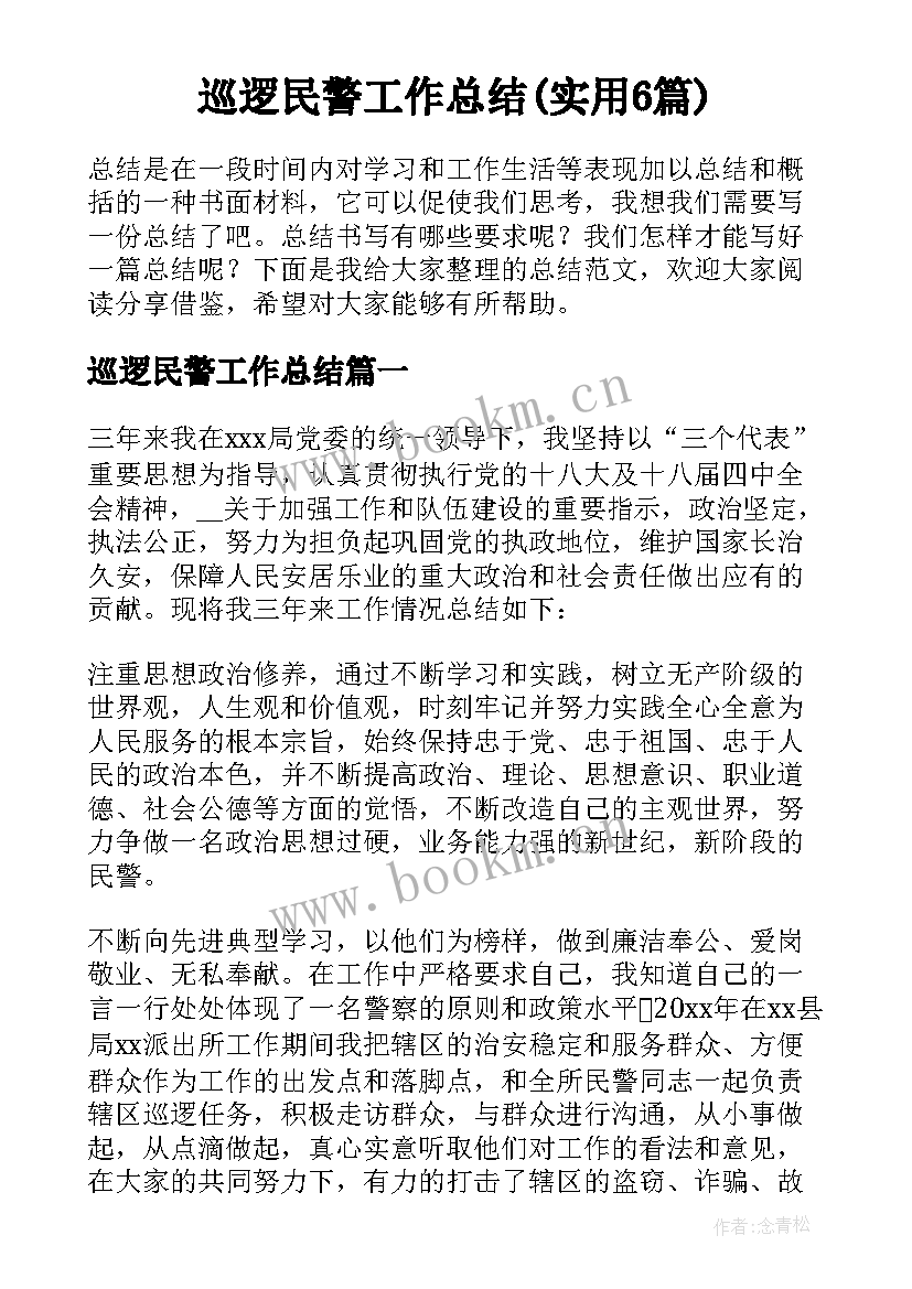 巡逻民警工作总结(实用6篇)