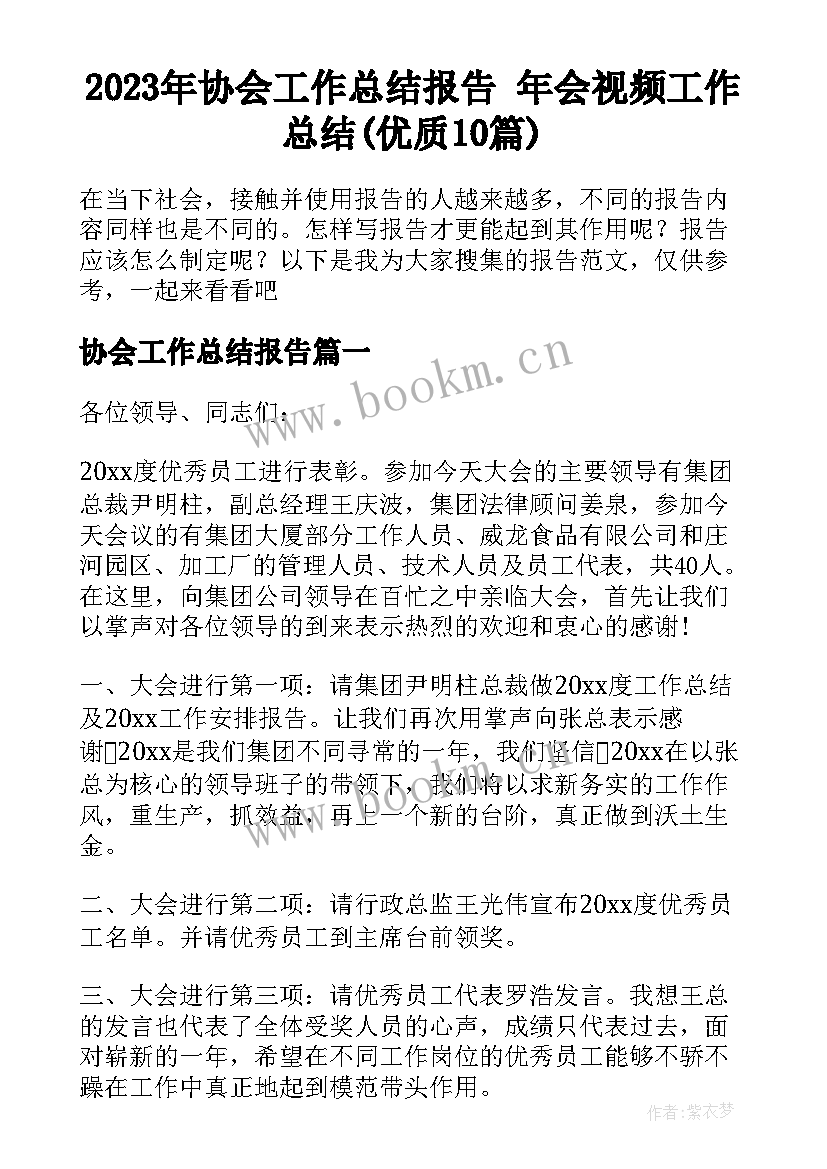 2023年协会工作总结报告 年会视频工作总结(优质10篇)