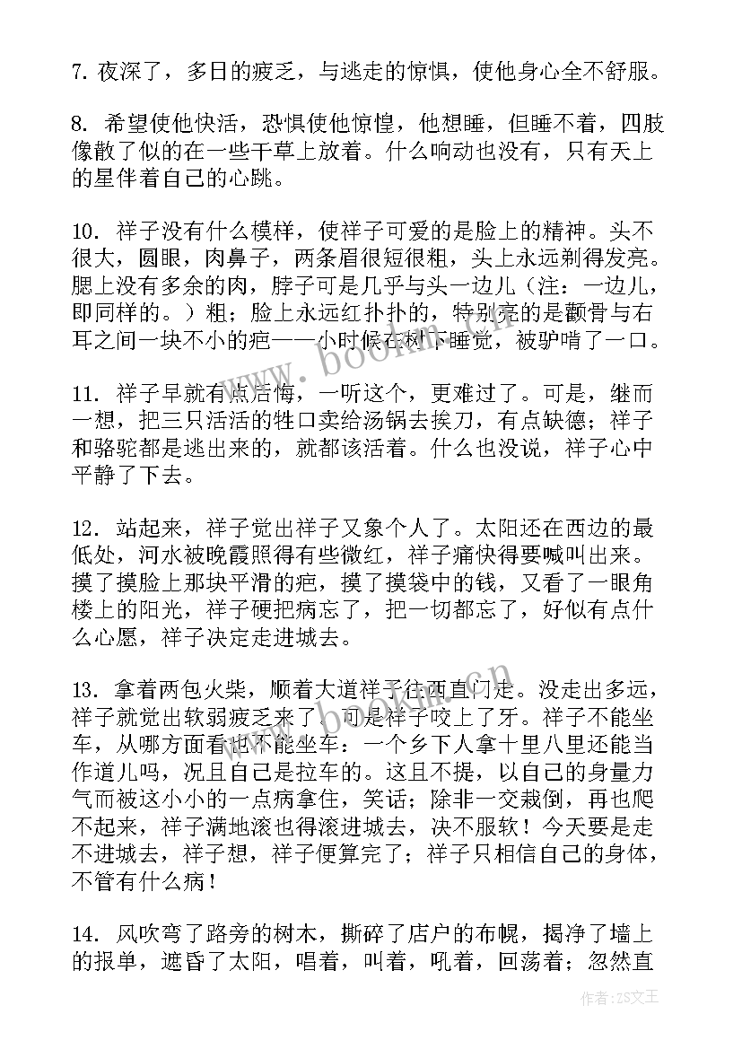 2023年思想汇报内容概述 骆驼祥子章节主要内容概括(汇总7篇)