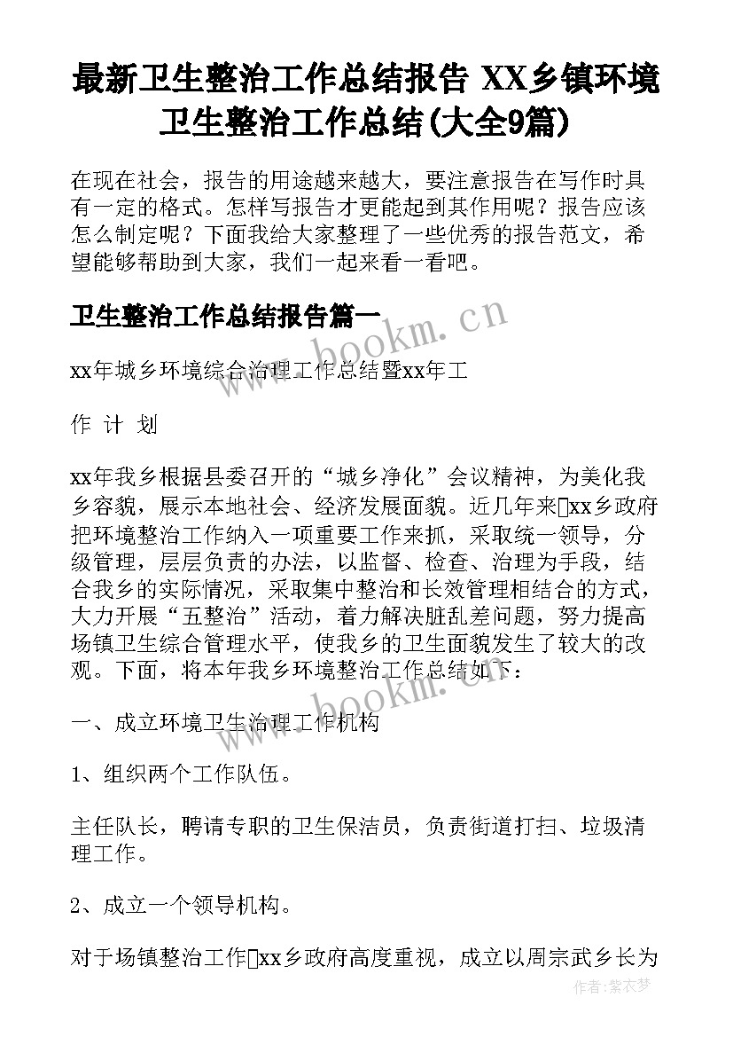 最新卫生整治工作总结报告 XX乡镇环境卫生整治工作总结(大全9篇)