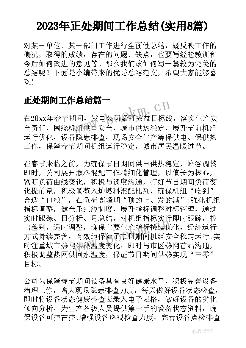 2023年正处期间工作总结(实用8篇)