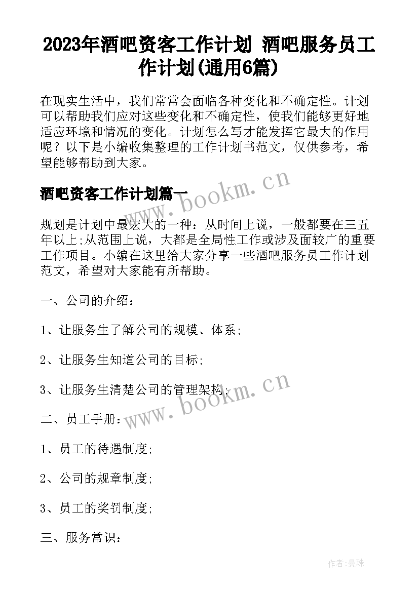 2023年酒吧资客工作计划 酒吧服务员工作计划(通用6篇)