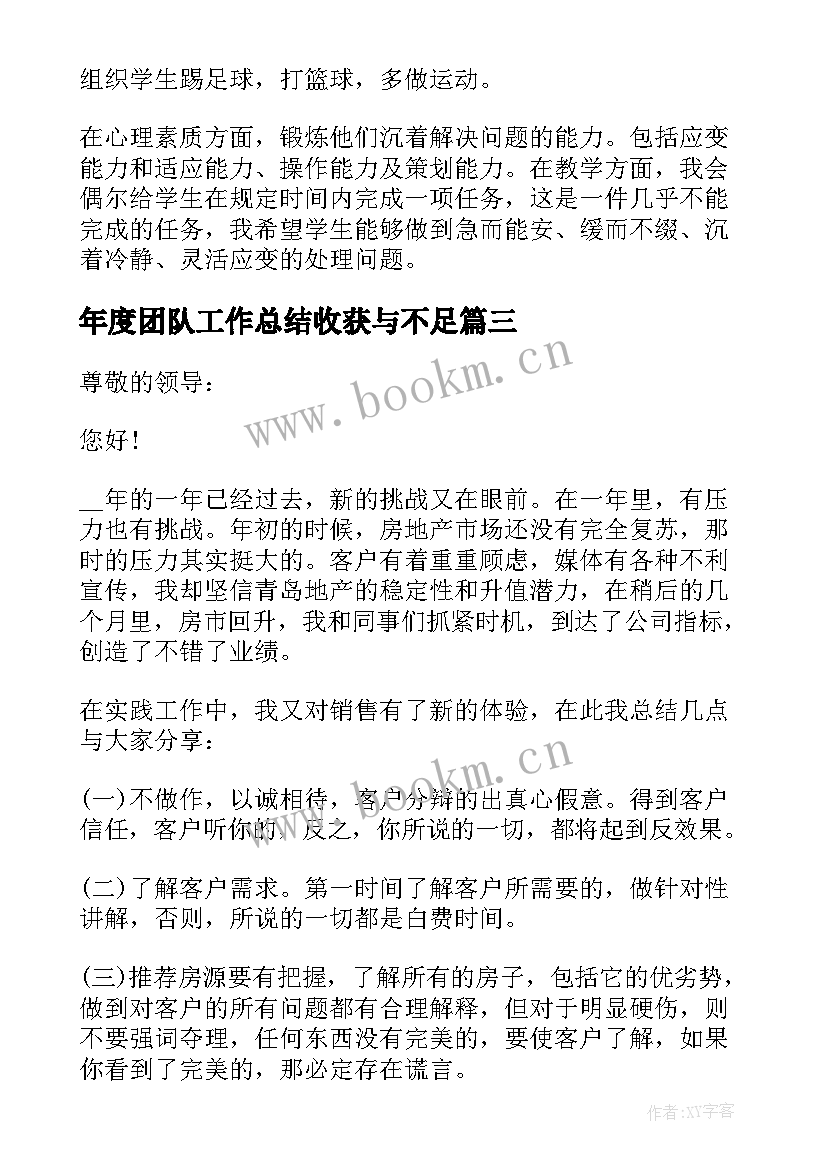 2023年年度团队工作总结收获与不足(精选5篇)