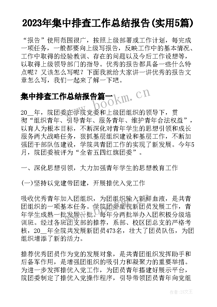 2023年集中排查工作总结报告(实用5篇)