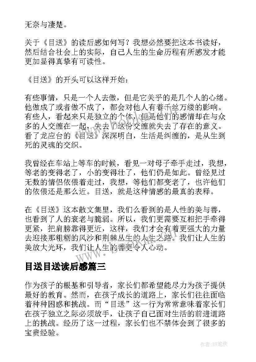 2023年目送目送读后感 目送家长心得体会(通用5篇)