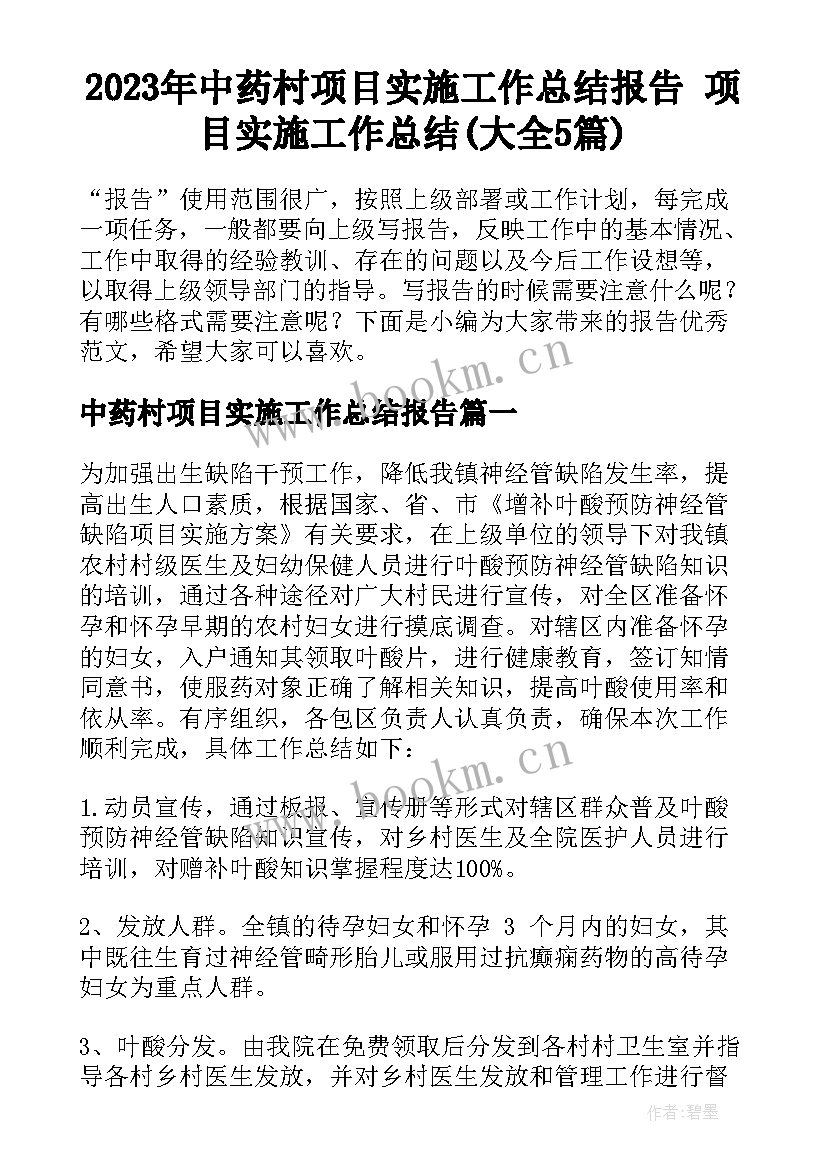 2023年中药村项目实施工作总结报告 项目实施工作总结(大全5篇)