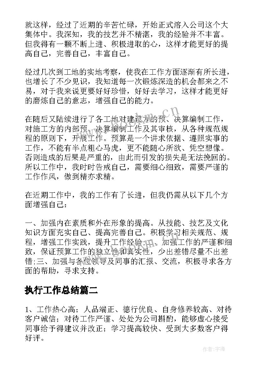 最新执行工作总结 平台审核工作总结(精选7篇)