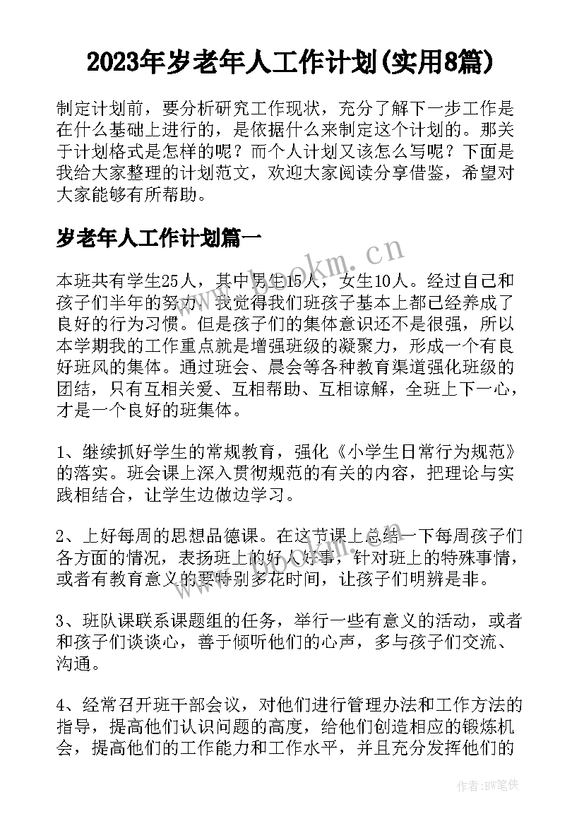 2023年岁老年人工作计划(实用8篇)