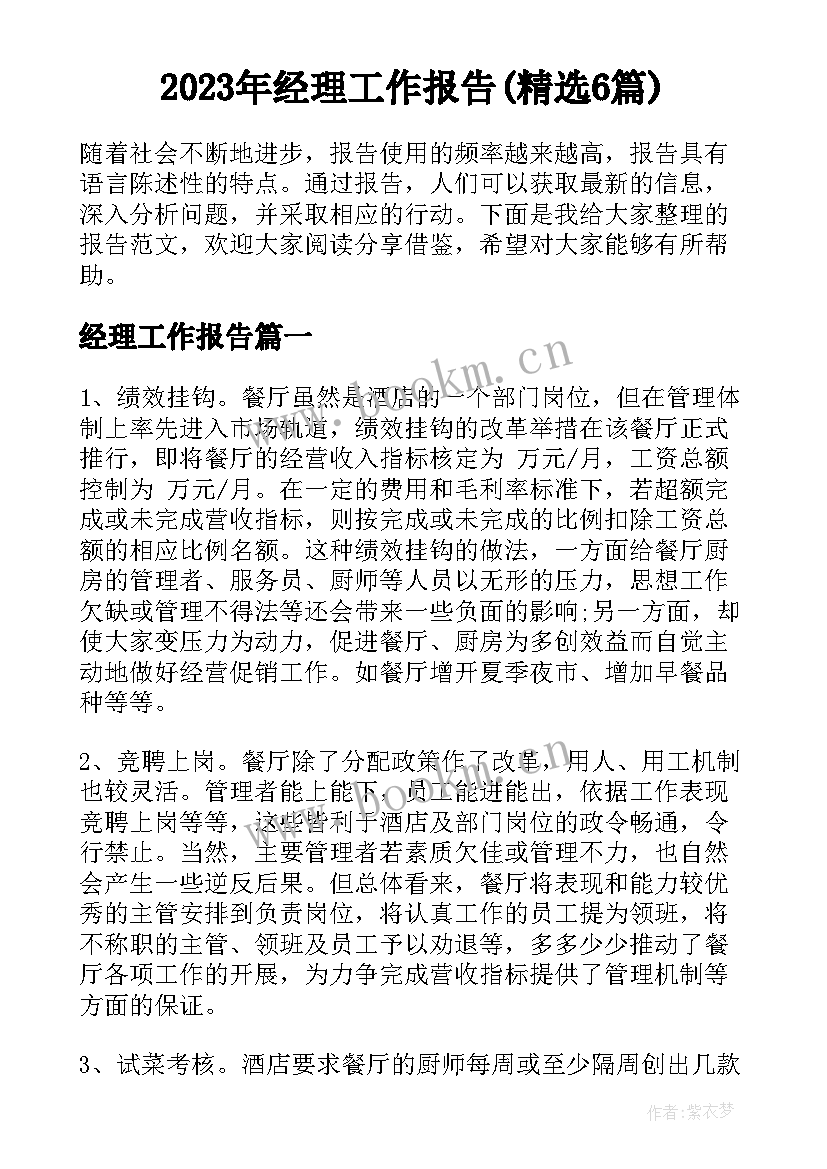 2023年经理工作报告(精选6篇)