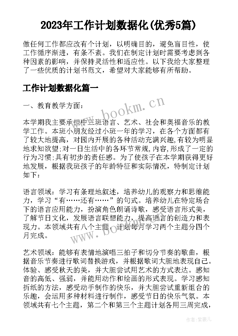 2023年工作计划数据化(优秀5篇)