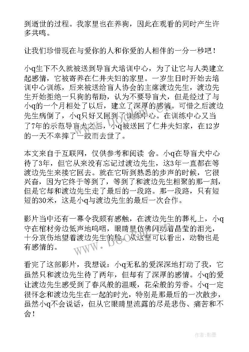 2023年冠军游戏答案 红黑游戏心得体会(模板8篇)