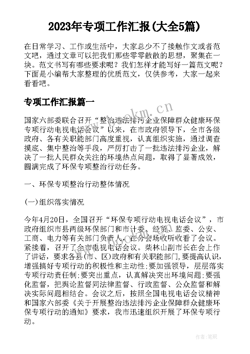 2023年专项工作汇报(大全5篇)