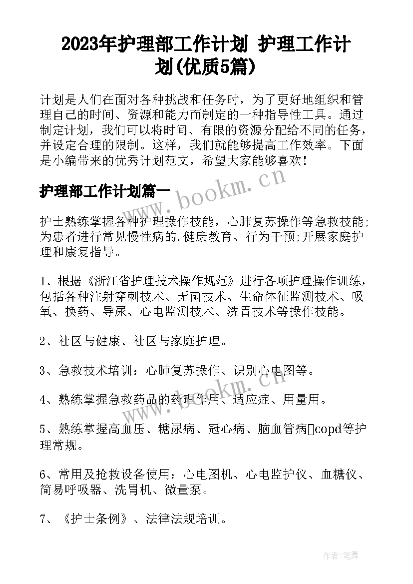 2023年护理部工作计划 护理工作计划(优质5篇)