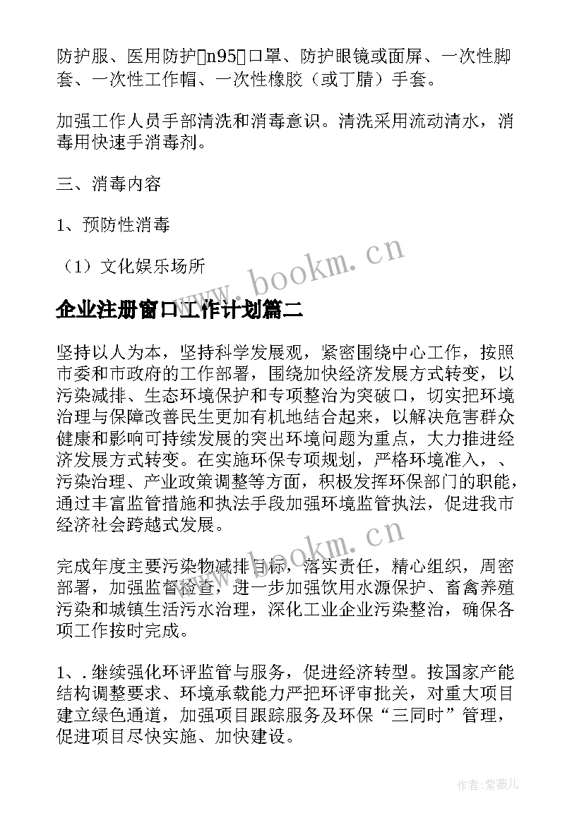 2023年企业注册窗口工作计划(精选8篇)