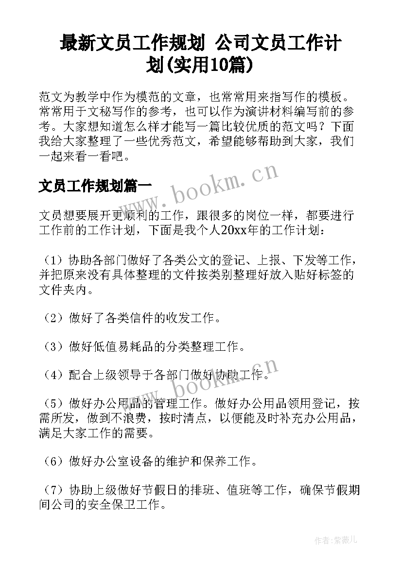 最新文员工作规划 公司文员工作计划(实用10篇)