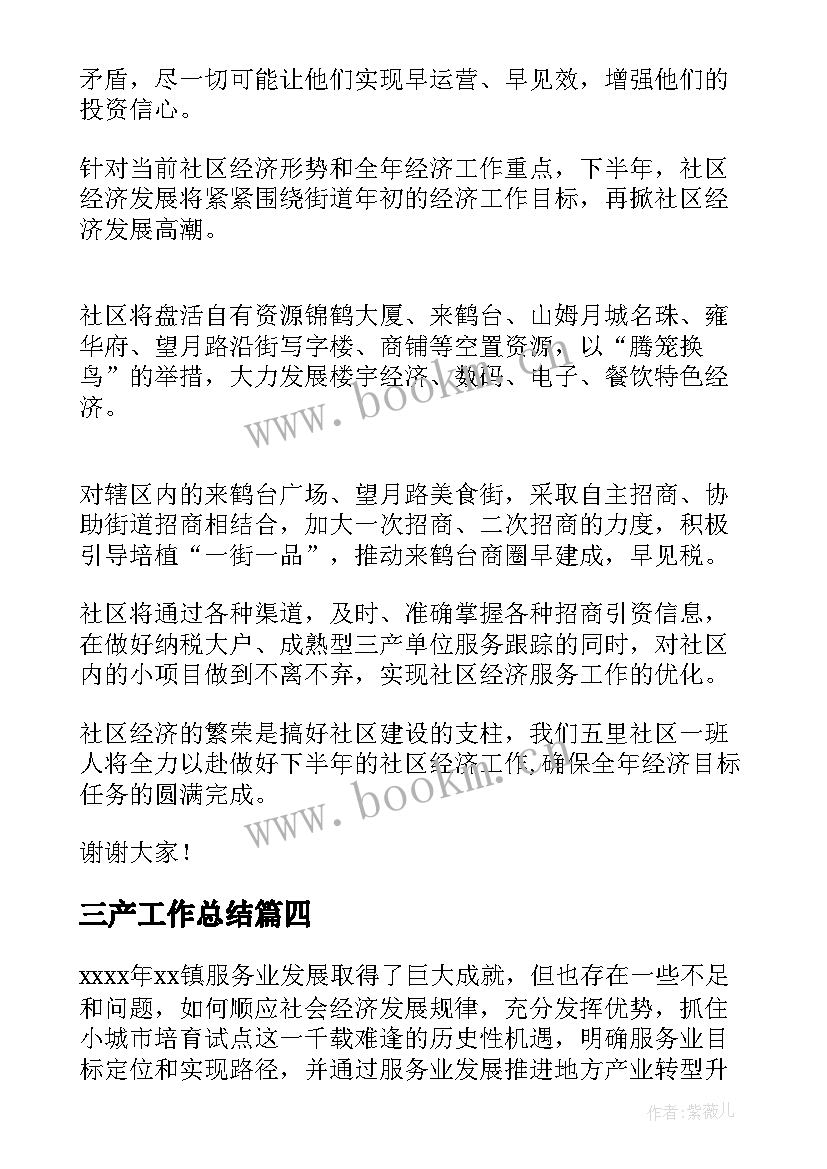 2023年三产工作总结(模板5篇)