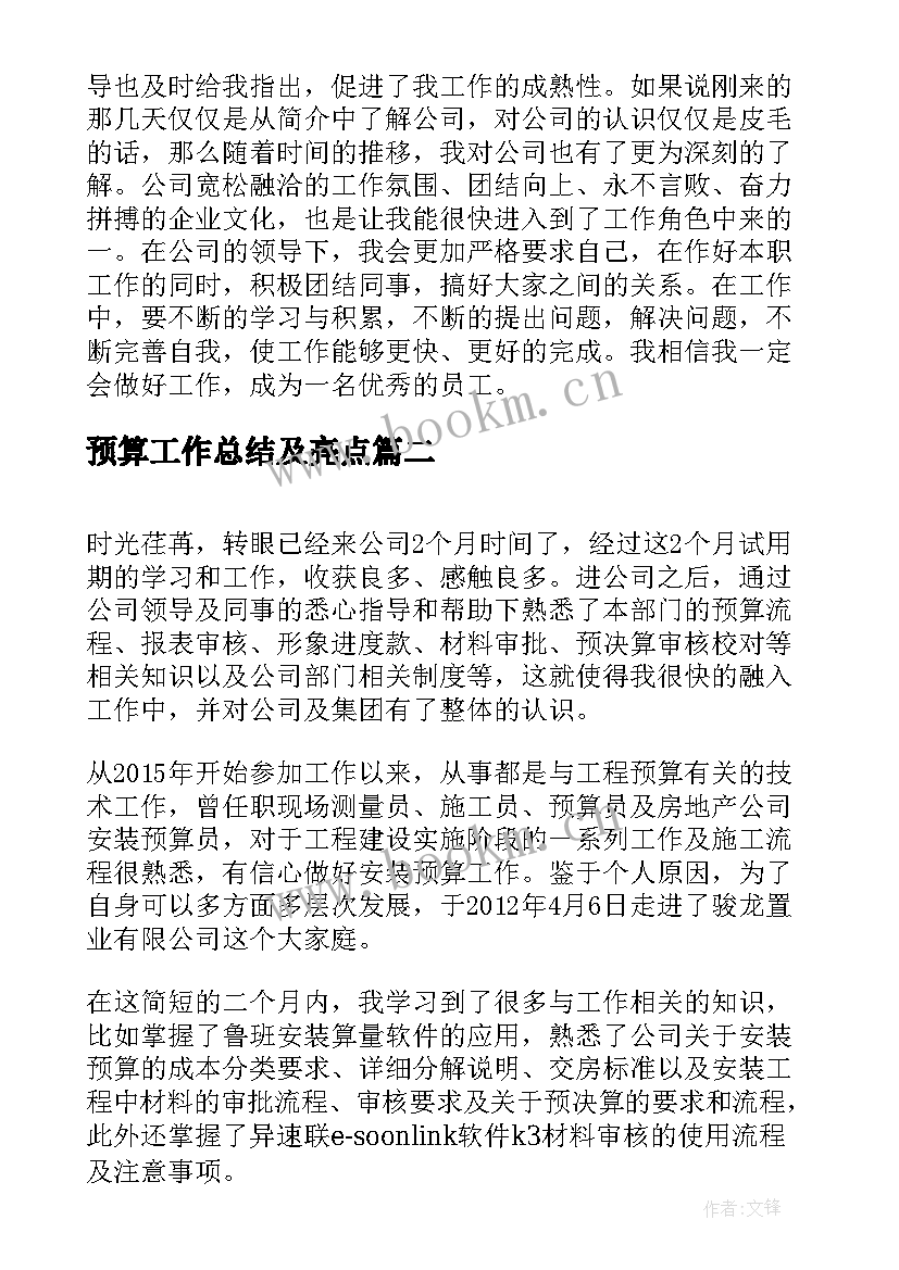 预算工作总结及亮点(通用5篇)