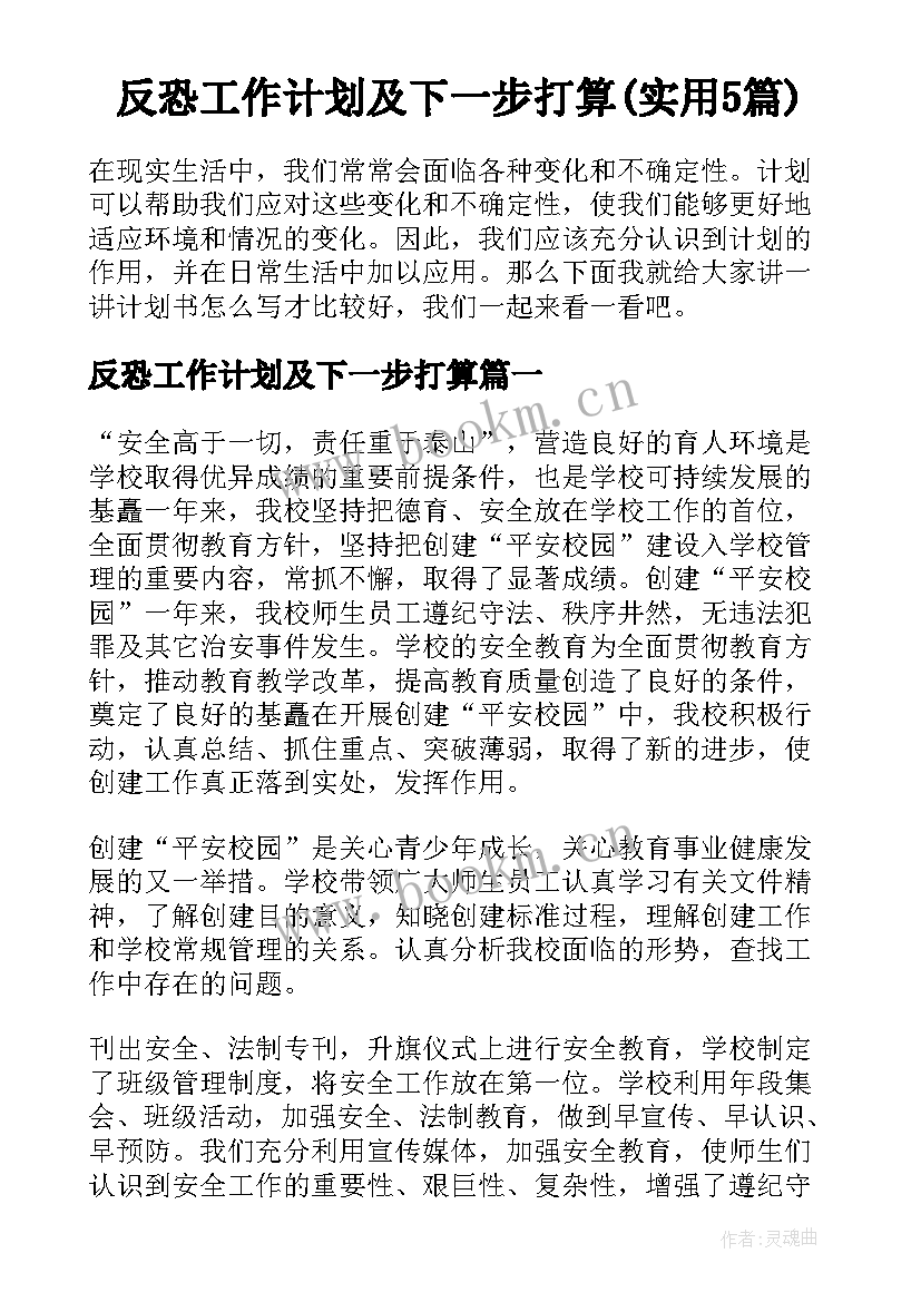 反恐工作计划及下一步打算(实用5篇)