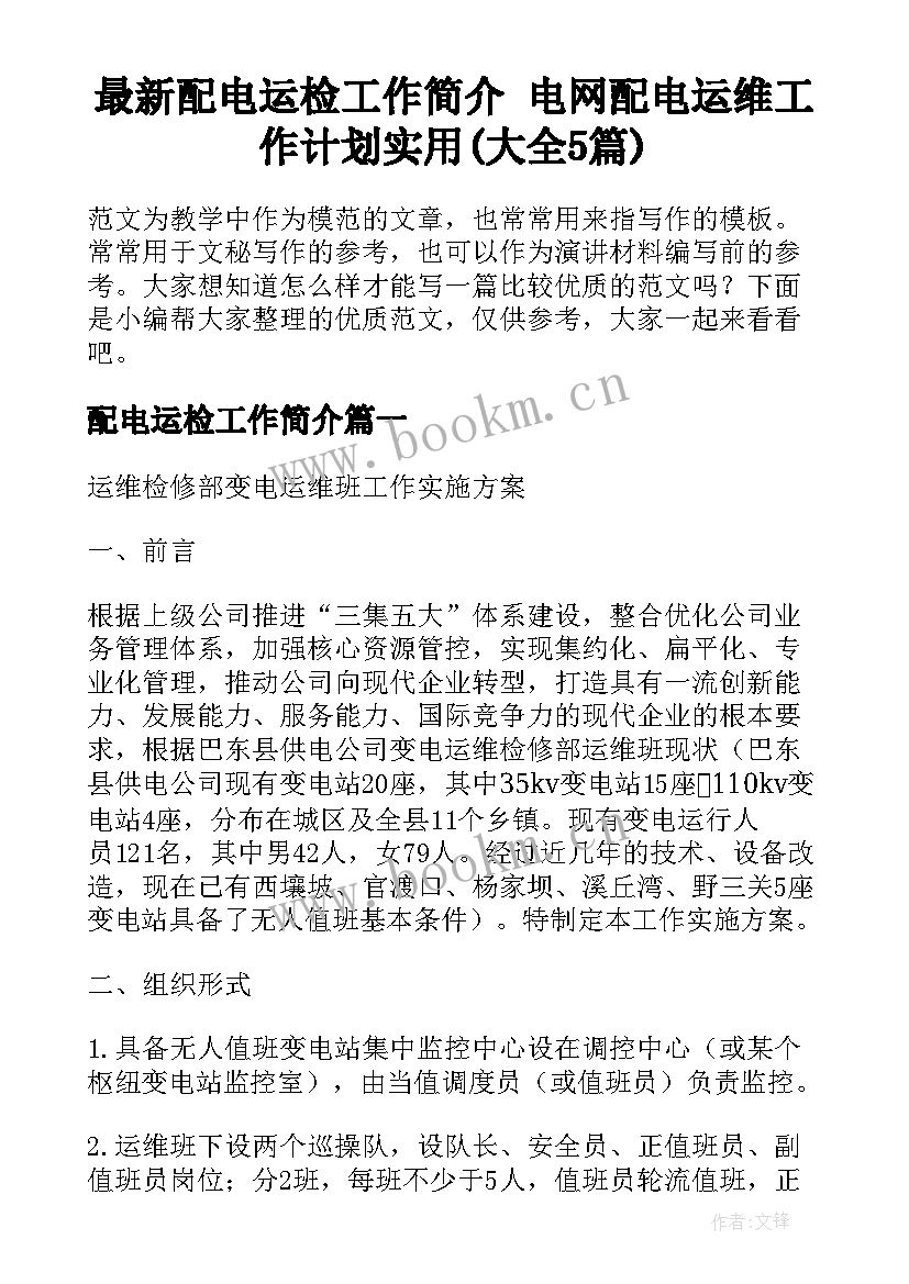 最新配电运检工作简介 电网配电运维工作计划实用(大全5篇)