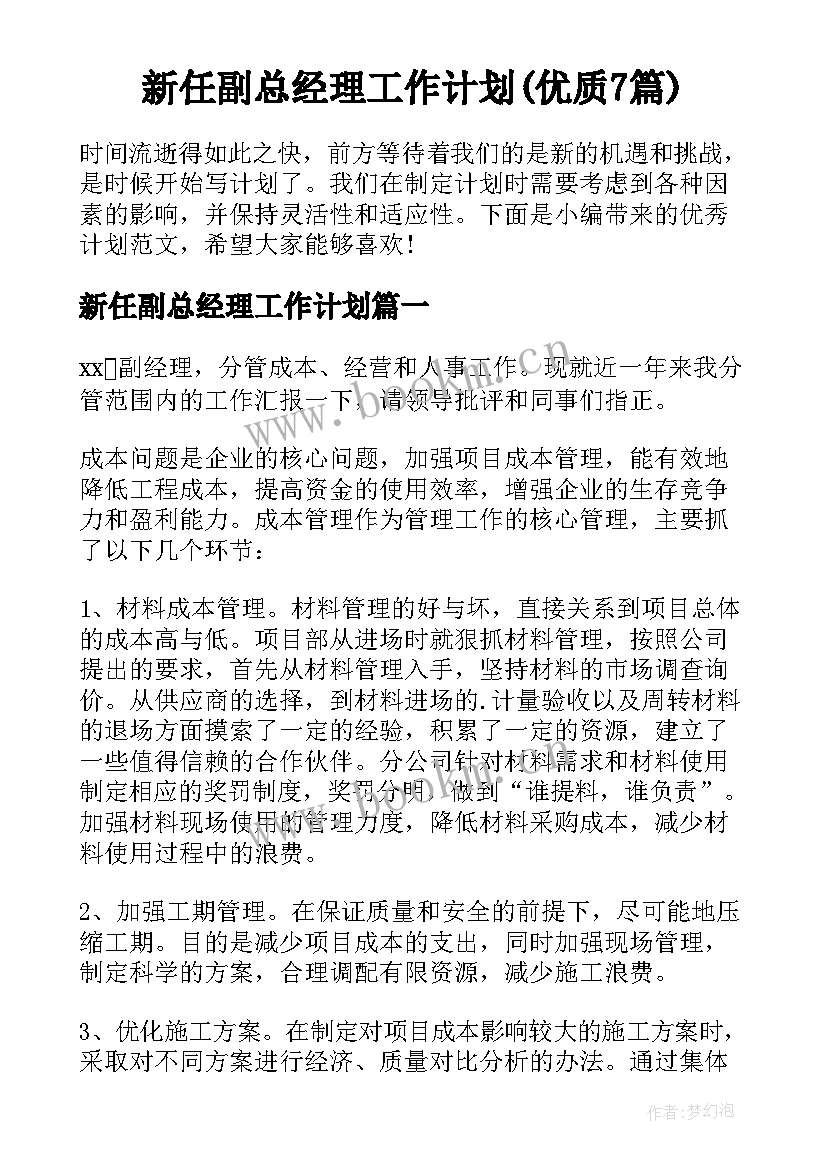 新任副总经理工作计划(优质7篇)