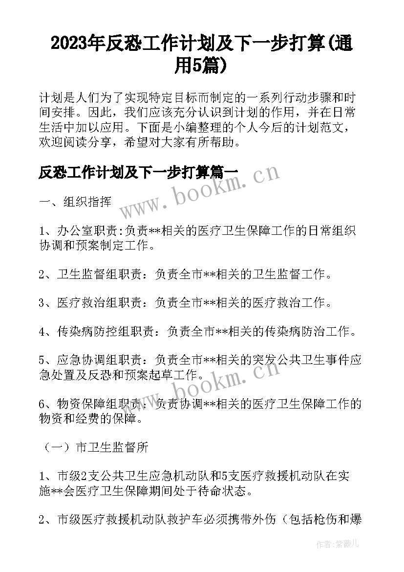 2023年反恐工作计划及下一步打算(通用5篇)