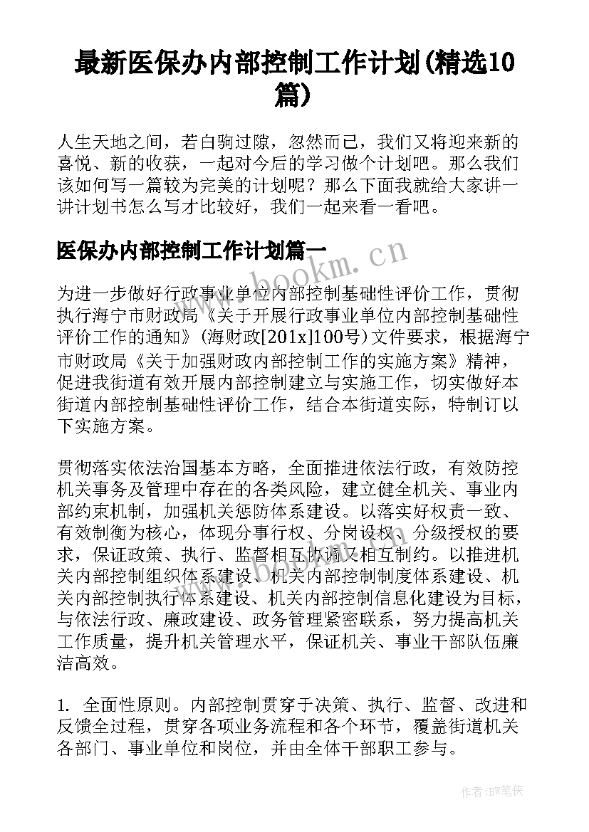 最新医保办内部控制工作计划(精选10篇)