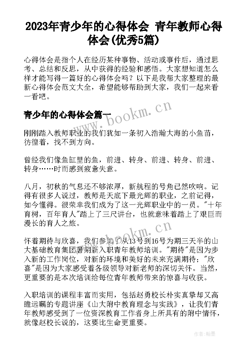 2023年青少年的心得体会 青年教师心得体会(优秀5篇)