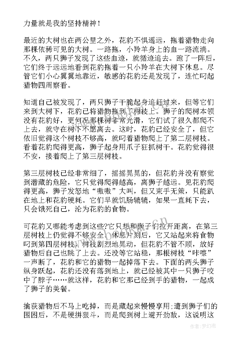 三分钟乡村故事演讲稿(汇总5篇)