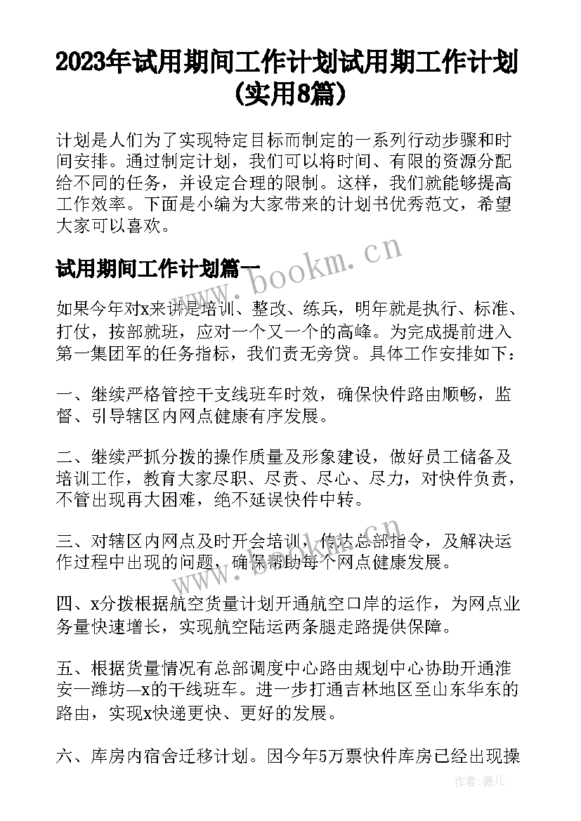 2023年试用期间工作计划 试用期工作计划(实用8篇)