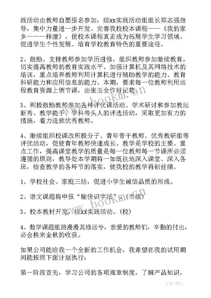 2023年试用期间工作计划 试用期工作计划(实用8篇)