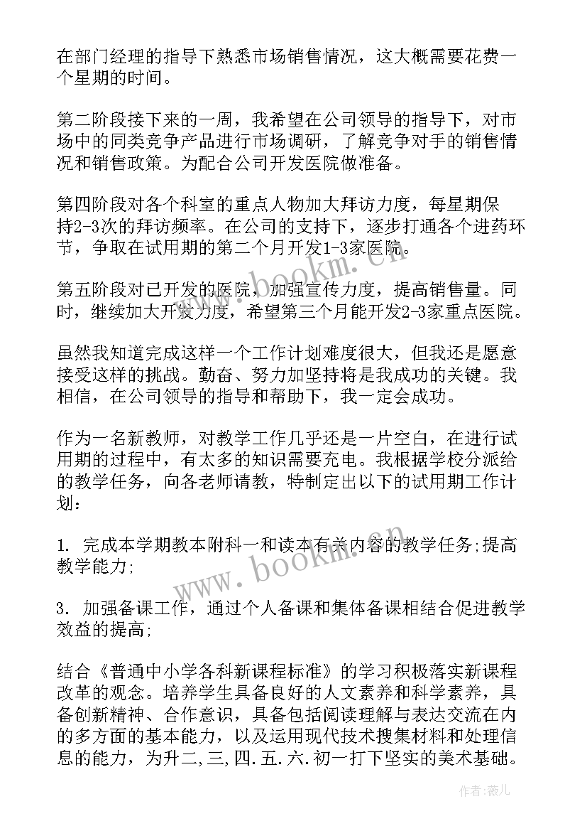 2023年试用期间工作计划 试用期工作计划(实用8篇)