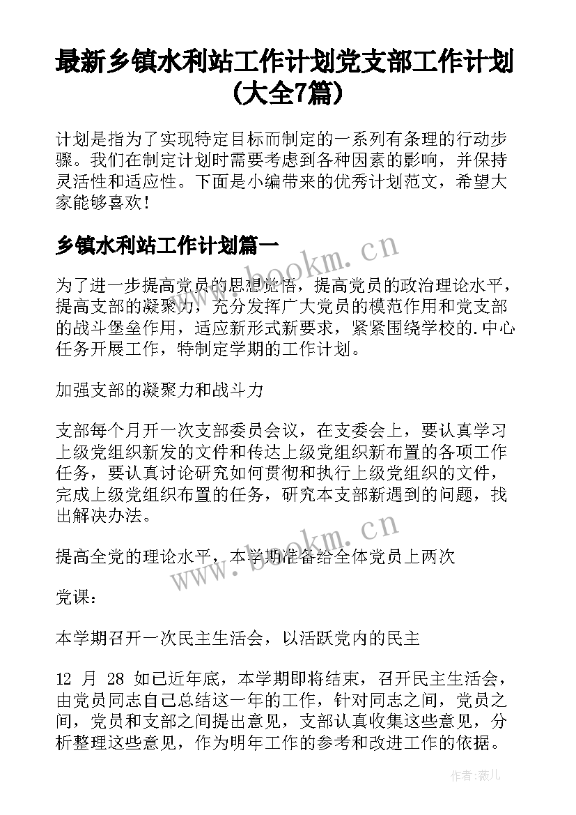 最新乡镇水利站工作计划 党支部工作计划(大全7篇)