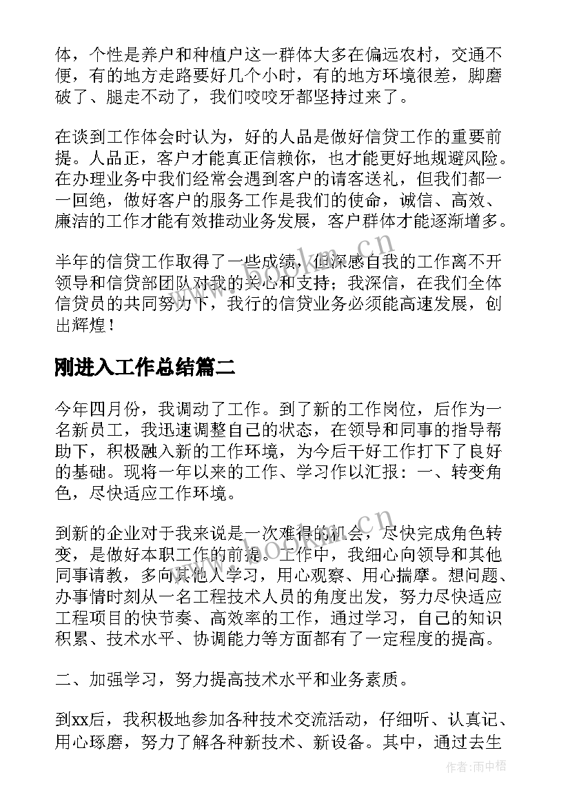 2023年刚进入工作总结(通用6篇)