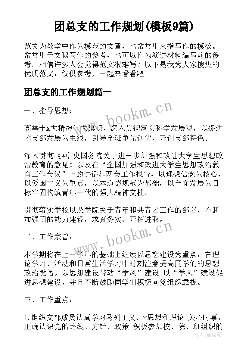 团总支的工作规划(模板9篇)