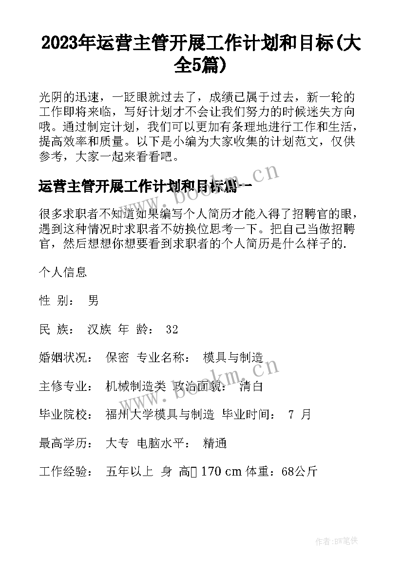 2023年运营主管开展工作计划和目标(大全5篇)