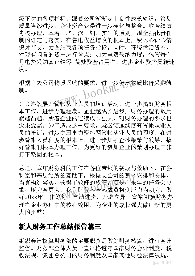 最新新人财务工作总结报告(优秀7篇)