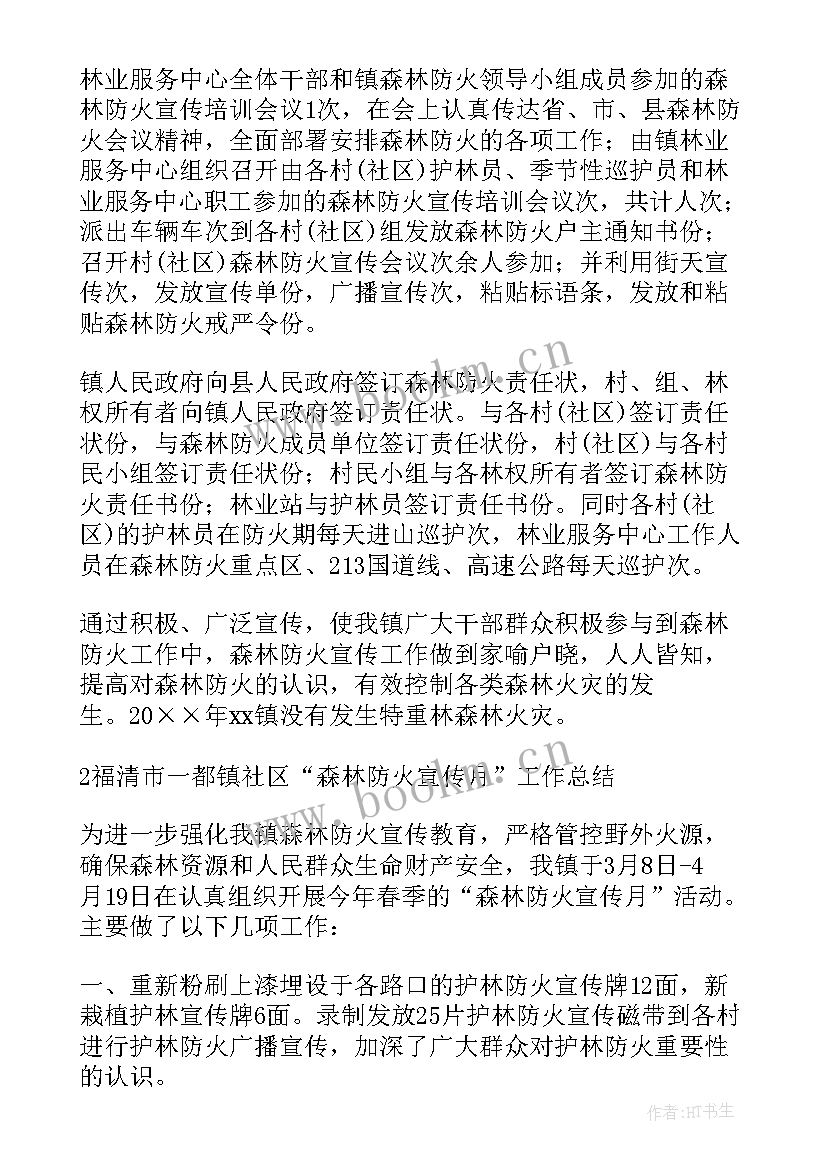 2023年森林支队工作总结报告(模板10篇)