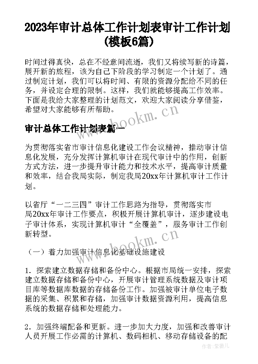 2023年审计总体工作计划表 审计工作计划(模板6篇)