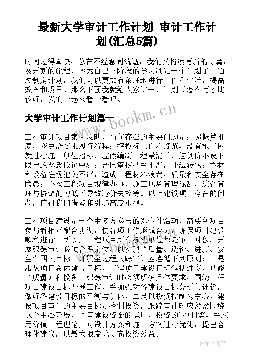 最新大学审计工作计划 审计工作计划(汇总5篇)