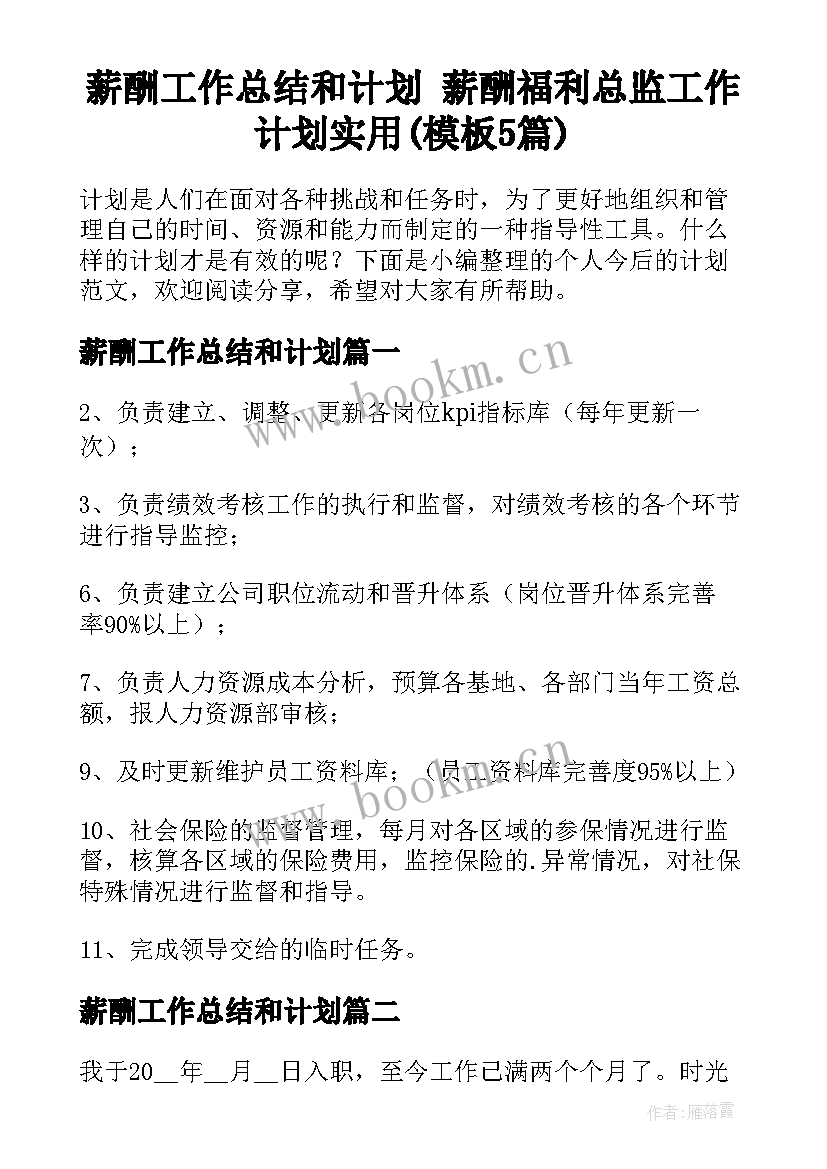 薪酬工作总结和计划 薪酬福利总监工作计划实用(模板5篇)