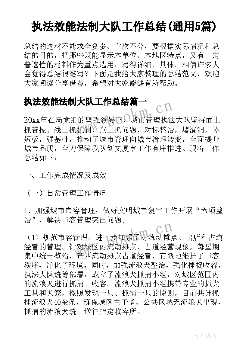 执法效能法制大队工作总结(通用5篇)