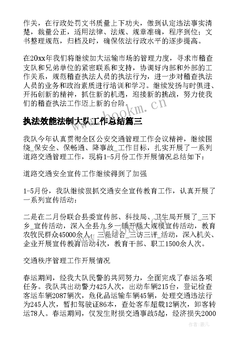 执法效能法制大队工作总结(通用5篇)