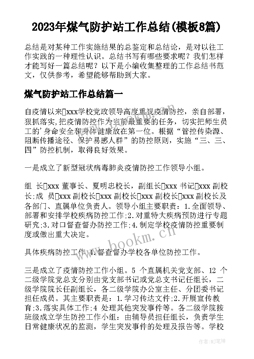 2023年煤气防护站工作总结(模板8篇)