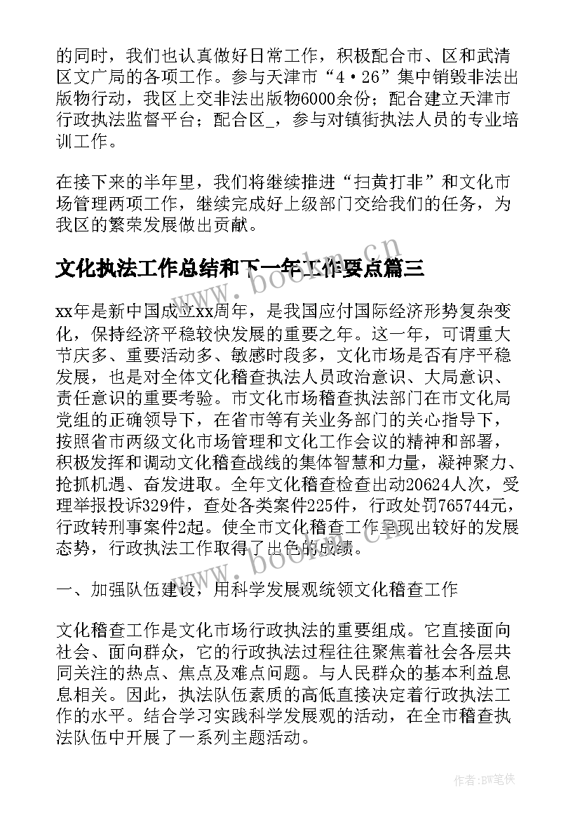 最新文化执法工作总结和下一年工作要点(通用7篇)