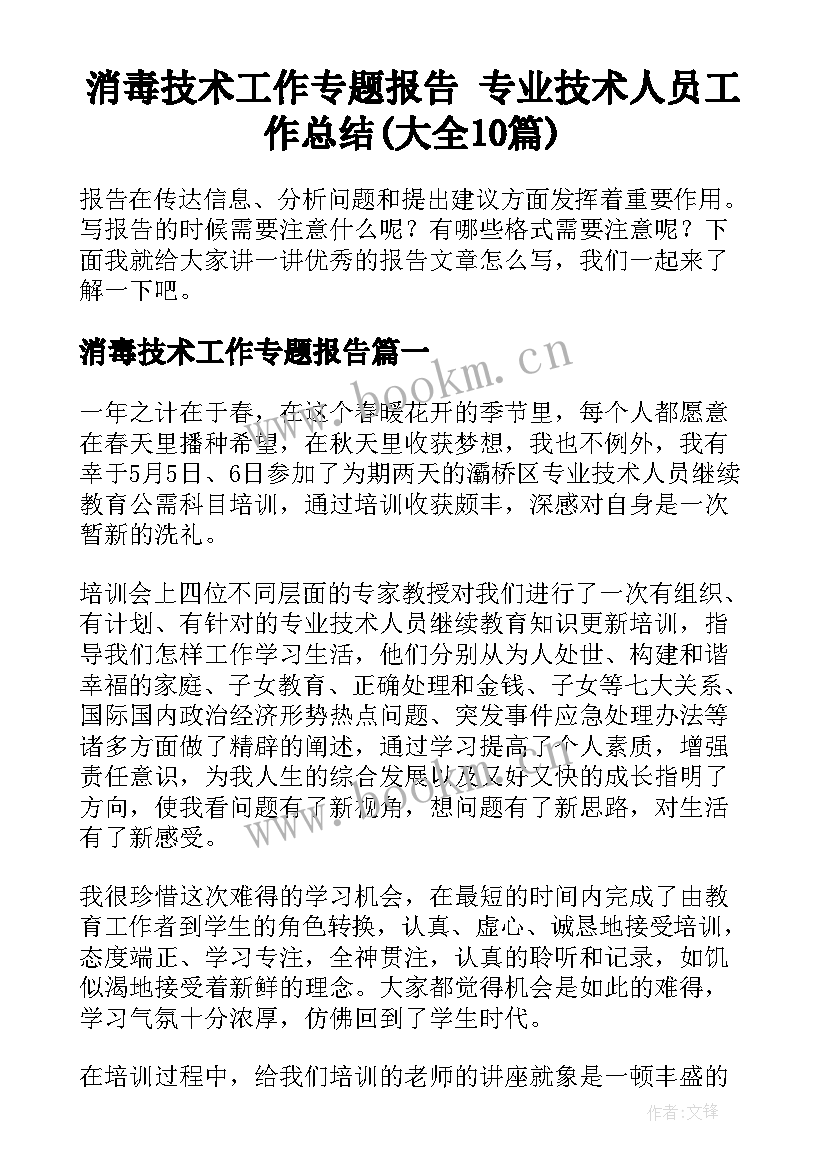 消毒技术工作专题报告 专业技术人员工作总结(大全10篇)