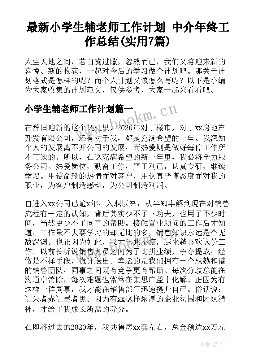 最新小学生辅老师工作计划 中介年终工作总结(实用7篇)