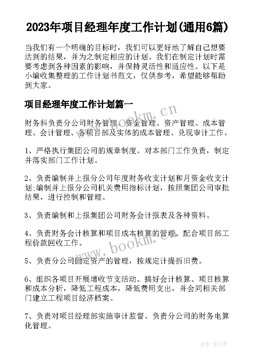 2023年项目经理年度工作计划(通用6篇)