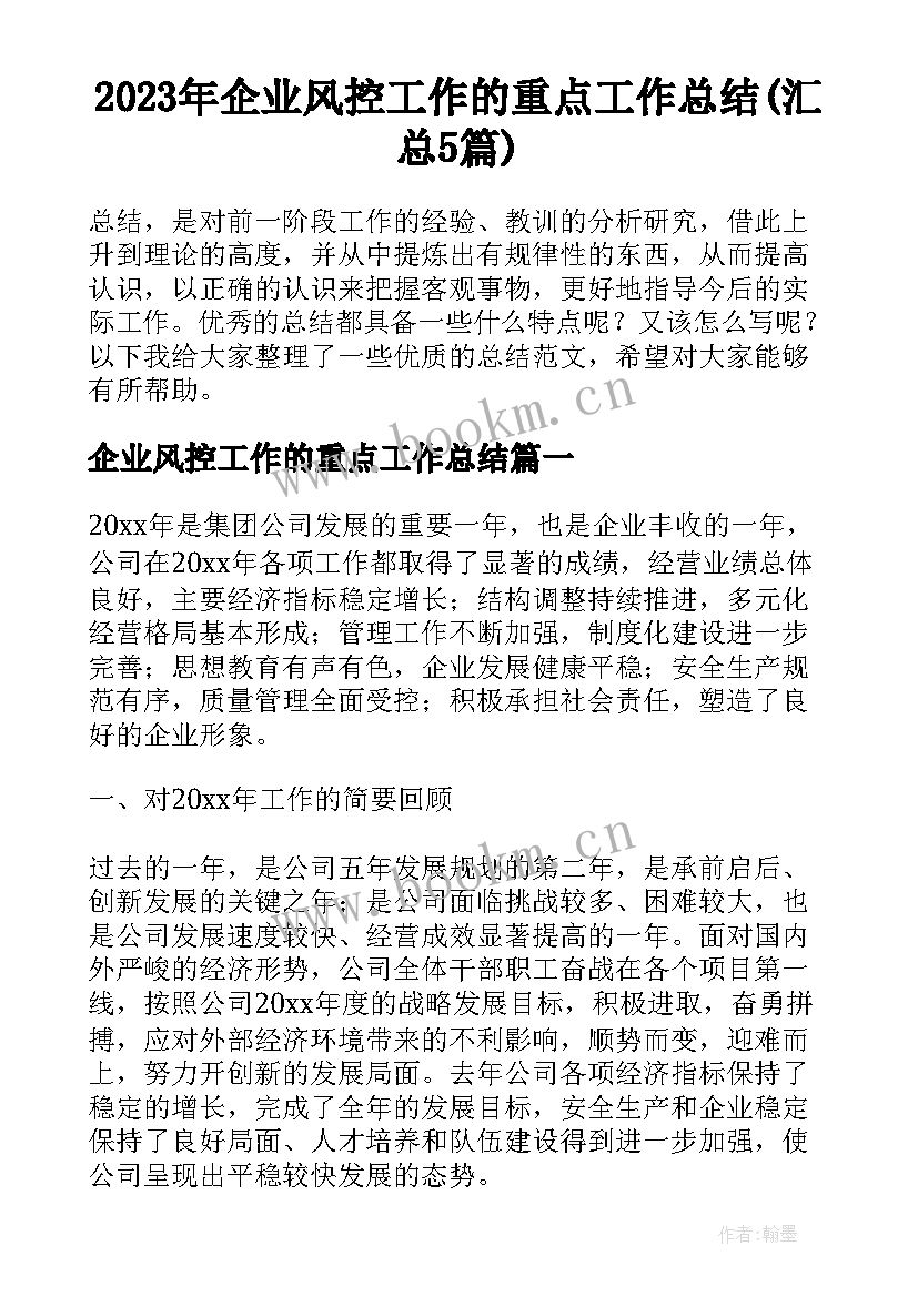 2023年企业风控工作的重点工作总结(汇总5篇)