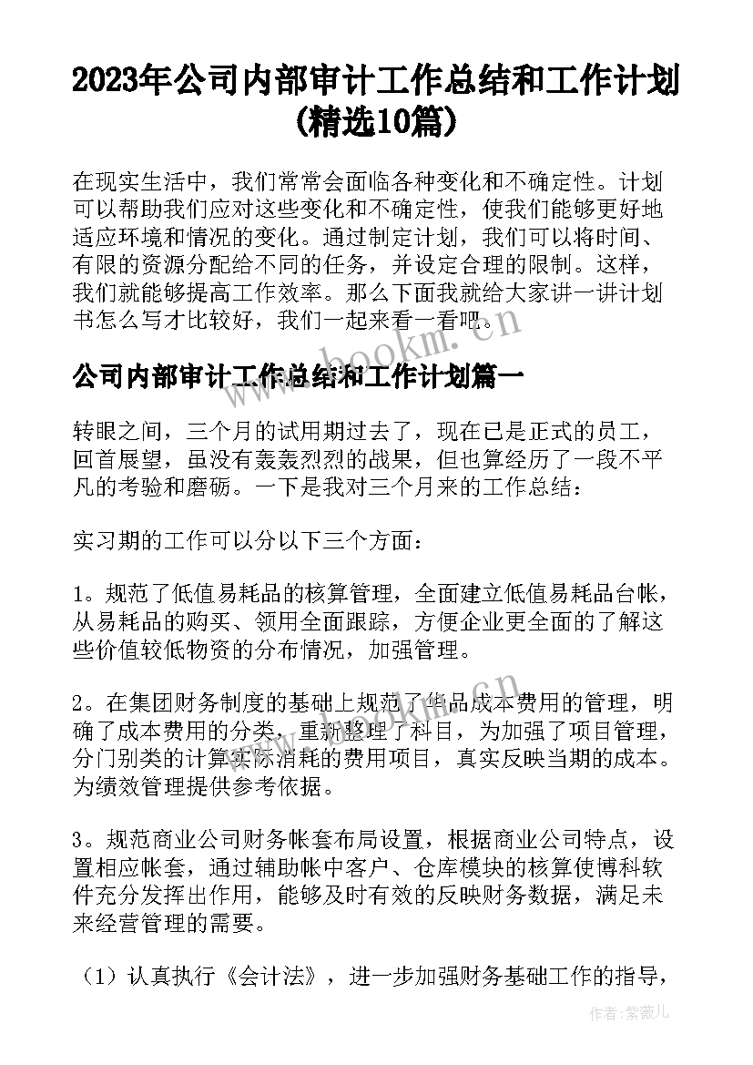 2023年公司内部审计工作总结和工作计划(精选10篇)