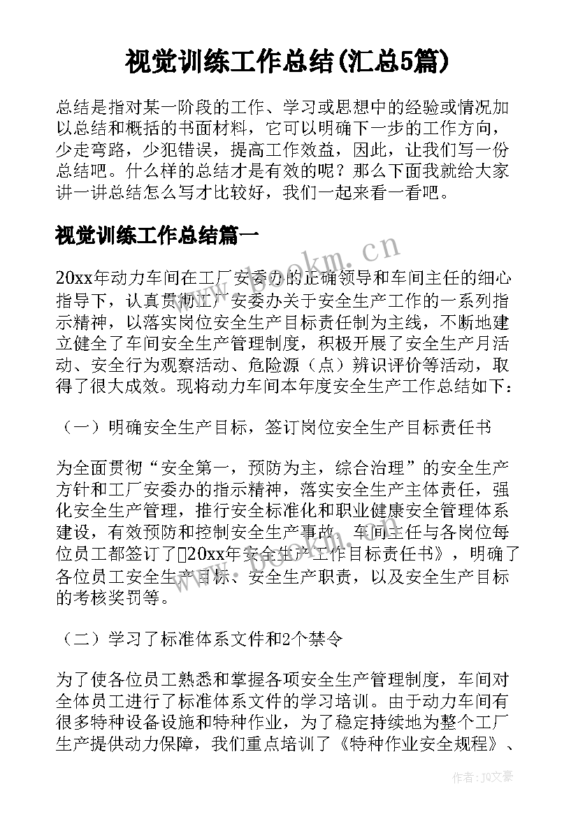 视觉训练工作总结(汇总5篇)